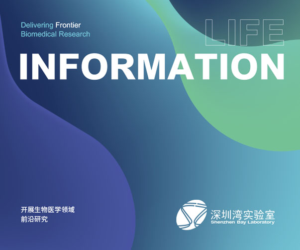 杭州VI設(shè)計(jì)公司的特色是什么？